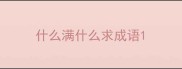 什么满什么求成语