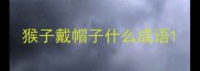 猴子戴帽子什么成语