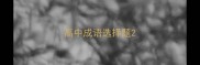 高中成语选择题