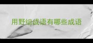 用野组成语有哪些成语