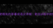 10个与打靶相关的军事成语及详细射击训练中的智慧传承