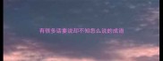 有很多话要说却不知怎么说的成语