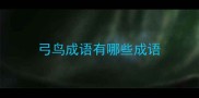 弓鸟成语有哪些成语