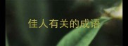 佳人有关的成语