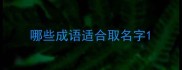 哪些成语适合取名字