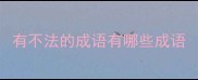 有不法的成语有哪些成语