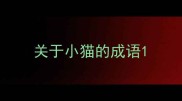 关于小猫的成语