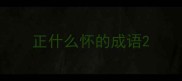 正什么怀的成语
