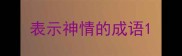 表示神情的成语