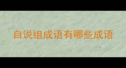 自说组成语有哪些成语
