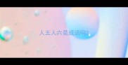 人五人六是成语吗