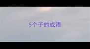 5个子的成语