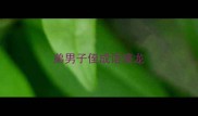 弟男子侄成语接龙