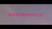 箱成语有哪些成语大全
