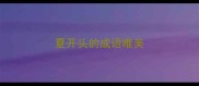 夏开头的成语唯美