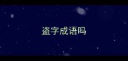盗字成语吗