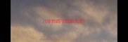 八字的四字成语大全