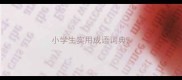 小学生实用成语词典