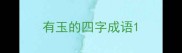 有玉的四字成语
