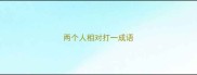 两个人相对打一成语