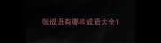 张成语有哪些成语大全
