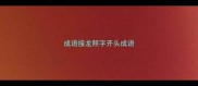 成语接龙照字开头成语