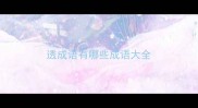 透成语有哪些成语大全