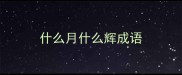 什么月什么辉成语