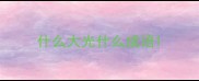 什么大光什么成语