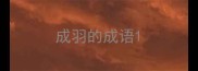 成羽的成语
