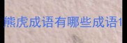 熊虎成语有哪些成语