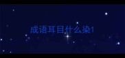 成语耳目什么染