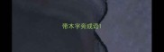 带木字旁成语