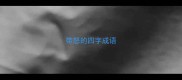 带怒的四字成语