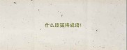 什么臣猛将成语