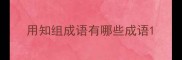 用知组成语有哪些成语