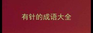 有针的成语大全