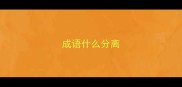成语什么分离