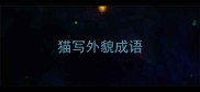 猫写外貌成语