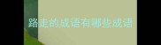 路走的成语有哪些成语