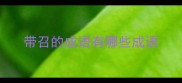 带召的成语有哪些成语