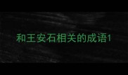 和王安石相关的成语