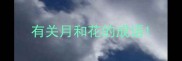 有关月和花的成语
