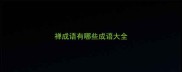 禅成语有哪些成语大全