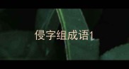 侵字组成语