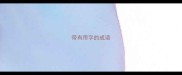带有用字的成语