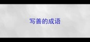 写善的成语