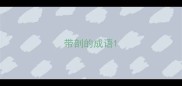 带剖的成语
