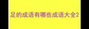 足的成语有哪些成语大全
