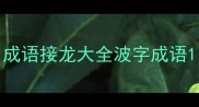 成语接龙大全波字成语